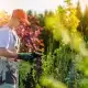 Garden Center POS Features Your Business Needs