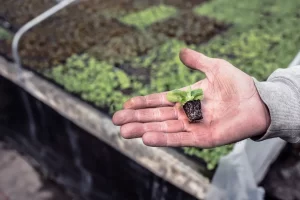 Ease into Spring: Six ideas to maximize sales during the busiest season