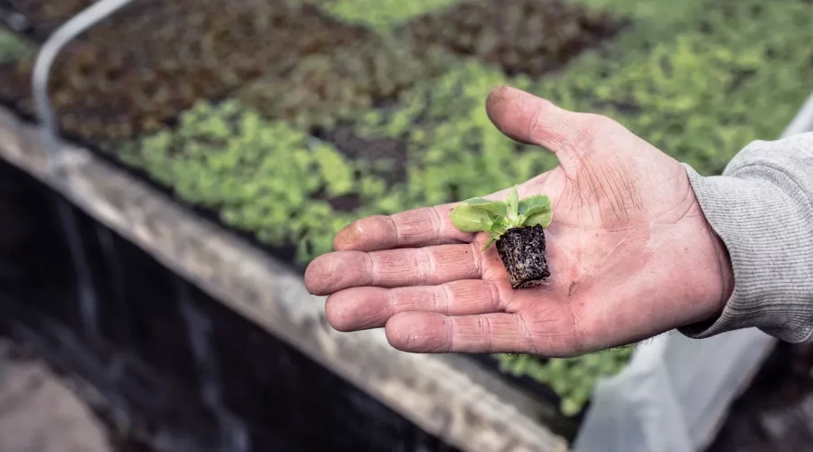 Ease into Spring: Six ideas to maximize sales during the busiest season