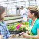 Embrace Rapid Garden POS: Your Ultimate QuickBooks POS Replacement for Garden Centers