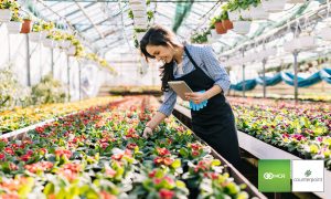 A woman taking inventory in her garden center.