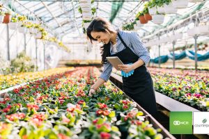 A woman taking inventory in her garden center.