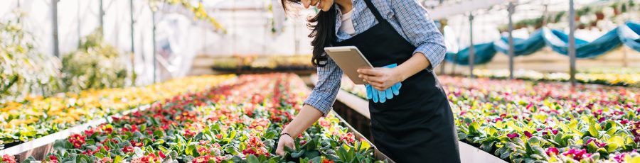 A woman taking inventory in her garden center.