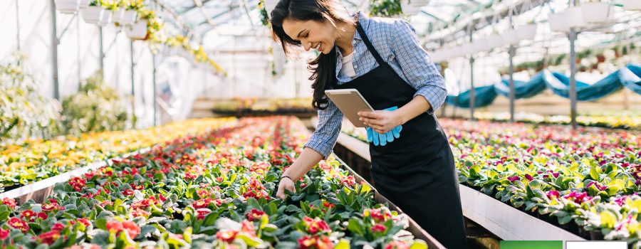 A woman taking inventory in her garden center.