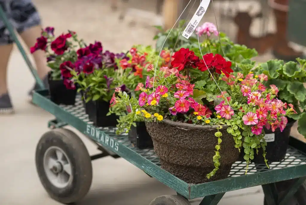 Greenhouse plants on cart - inventory kitting