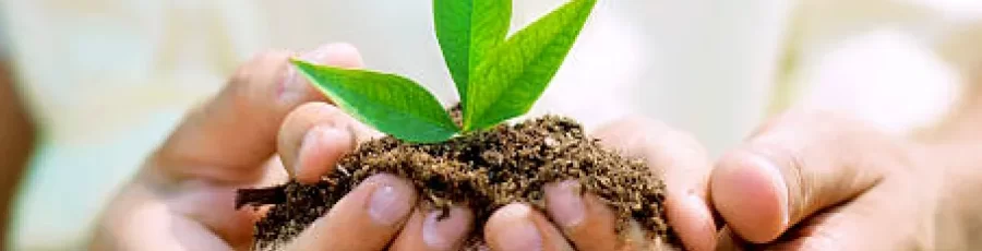5 Gardening Trends for 2017: Getting Ready for Father’s Day