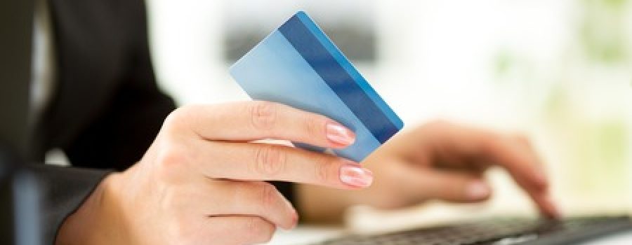 Landscaping Series: From Quote to Completion – Part 5