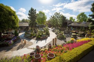 A landscape view of Roger's Gardens in California.