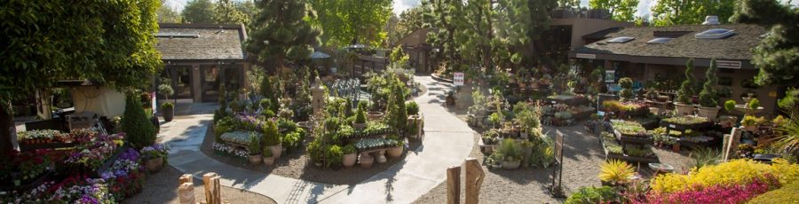 A landscape view of Roger's Gardens in California.