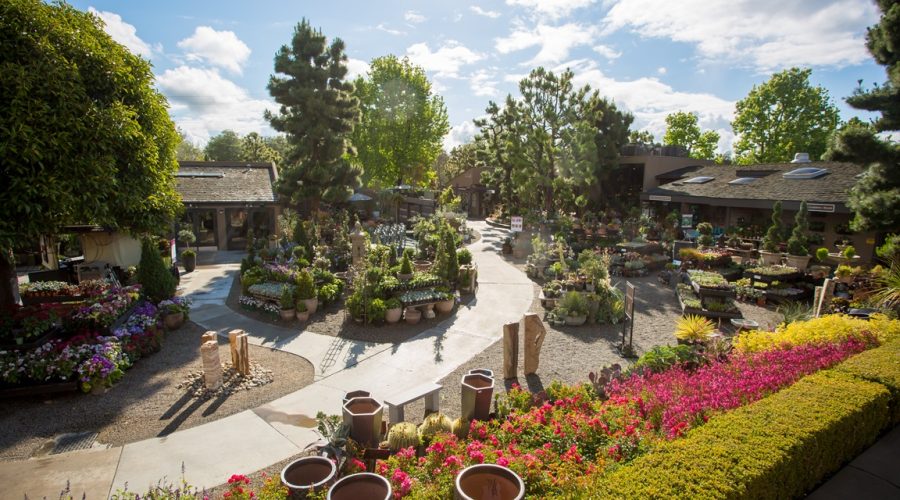 A landscape view of Roger's Gardens in California.