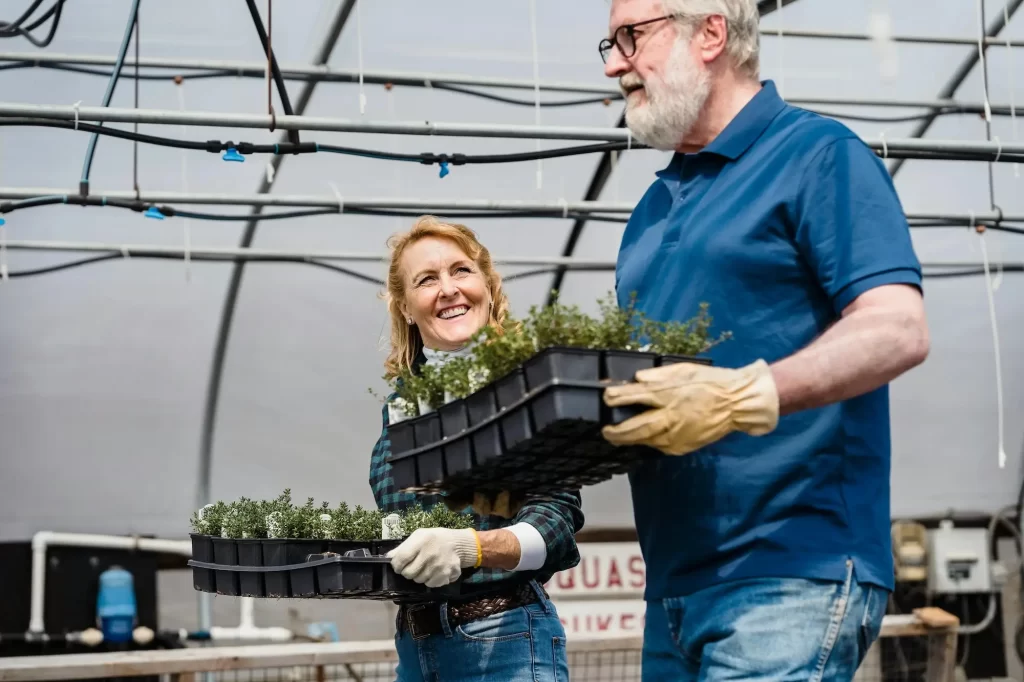 How Loyalty Programs Are Powering Garden Retail Stores