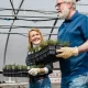 How Loyalty Programs Are Powering Garden Retail Stores