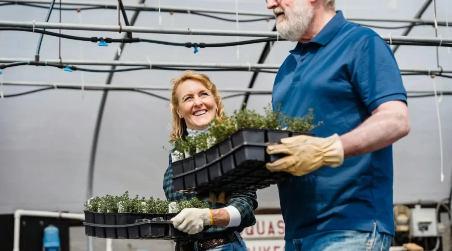 Couple shopping in a garden center.