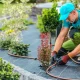 IGCs Providing Landscape Services – A Brave New World