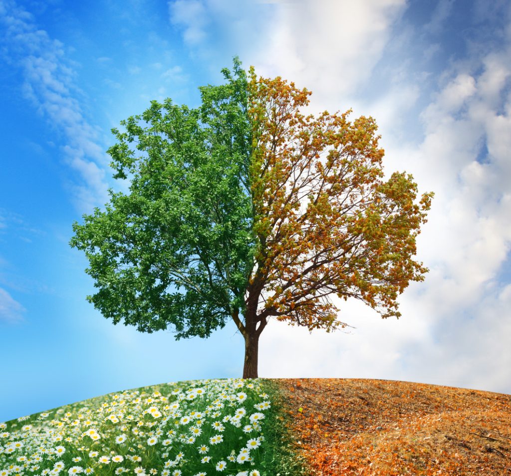 Preparing Your Garden Center Each Season – 12 Quick Tips