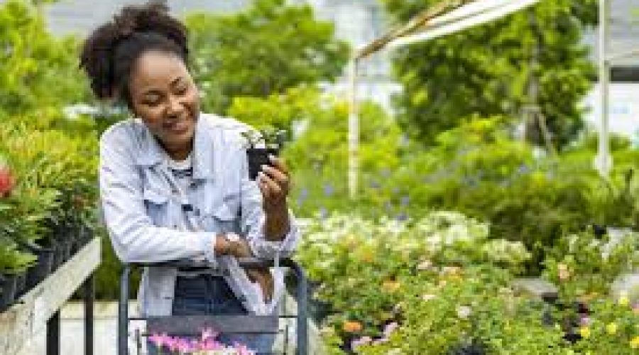 Woman shops for small plants in garden center.