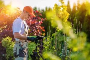 landscaper using a tablet
