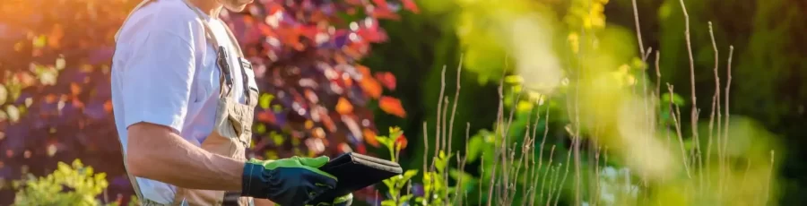 landscaper using a tablet