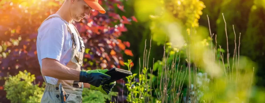 landscaper using a tablet