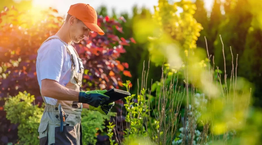 landscaper using a tablet